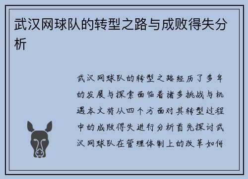 武汉网球队的转型之路与成败得失分析